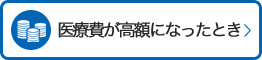 医療費が高額になったとき