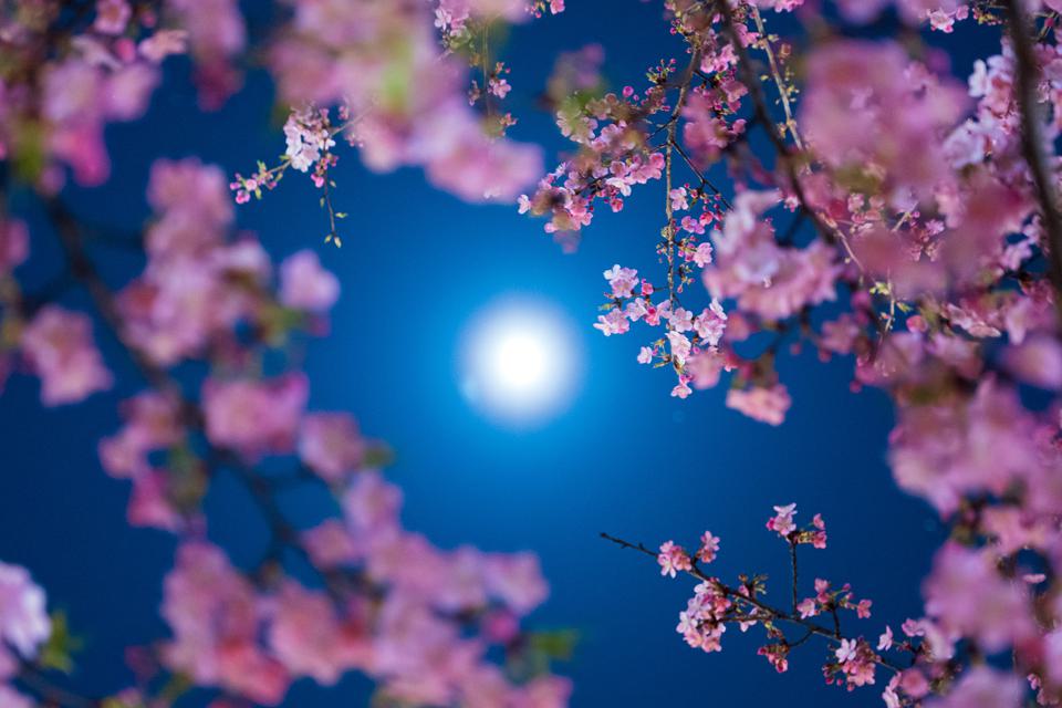 （C)ソニー写真部