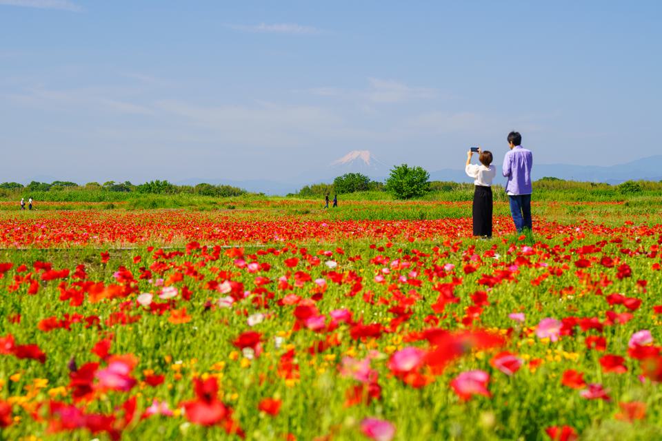 （C)ソニー写真部