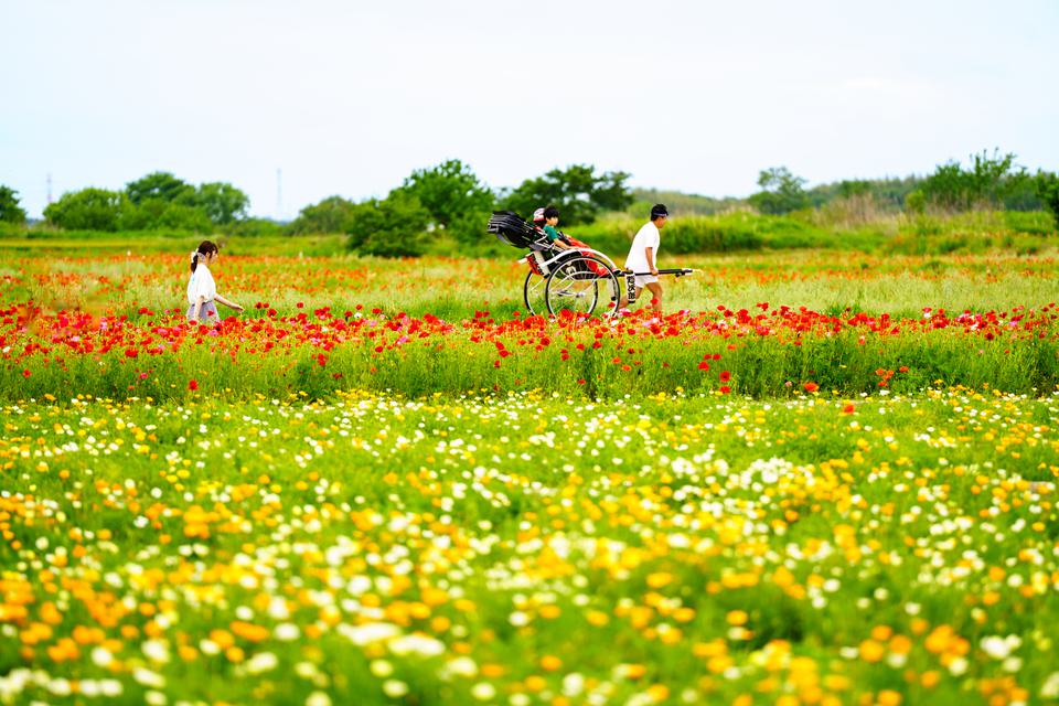 （C)ソニー写真部