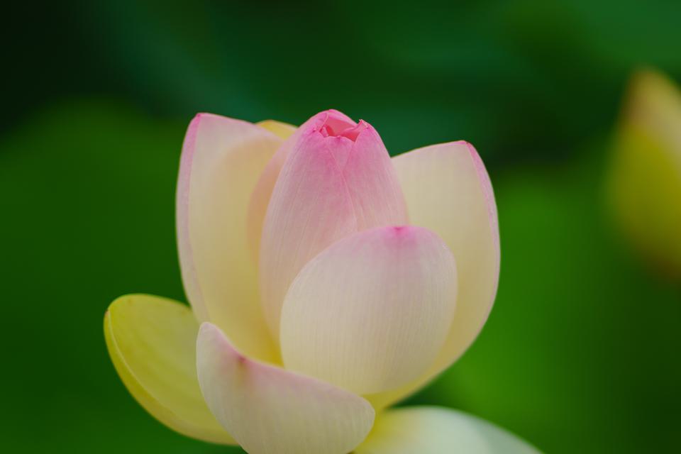 （C)ソニー写真部