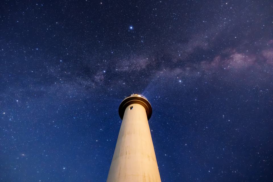 （C)ソニー写真部
