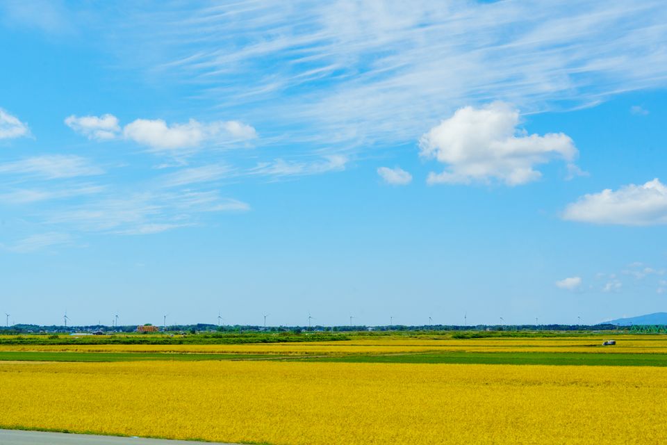 （C)ソニー写真部