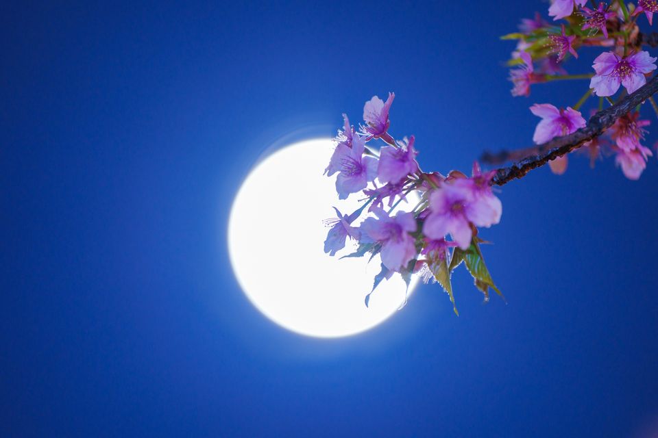 （C)ソニー写真部