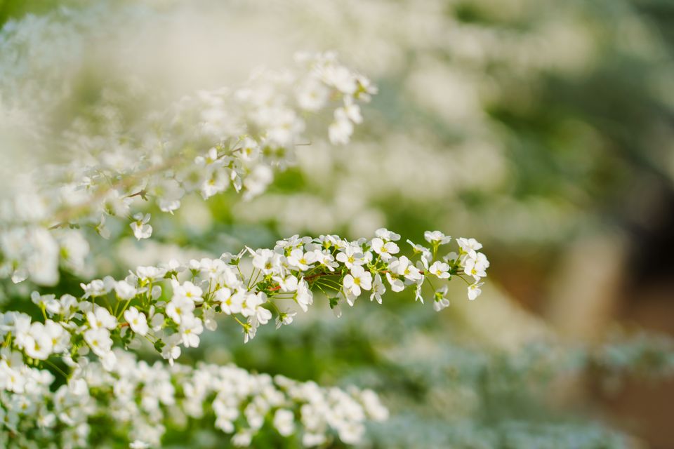 （C)ソニー写真部