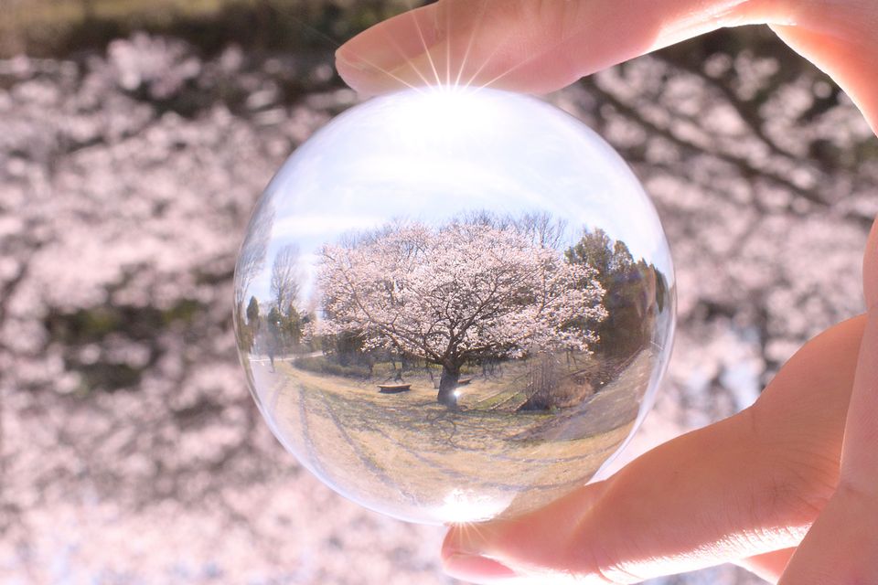 （C)ソニー写真部