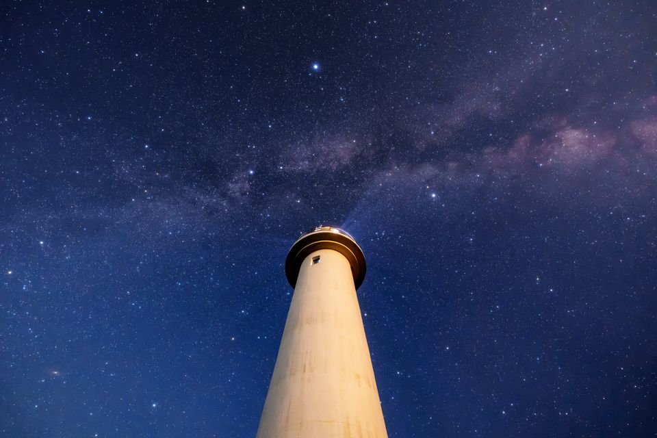 （C)ソニー写真部