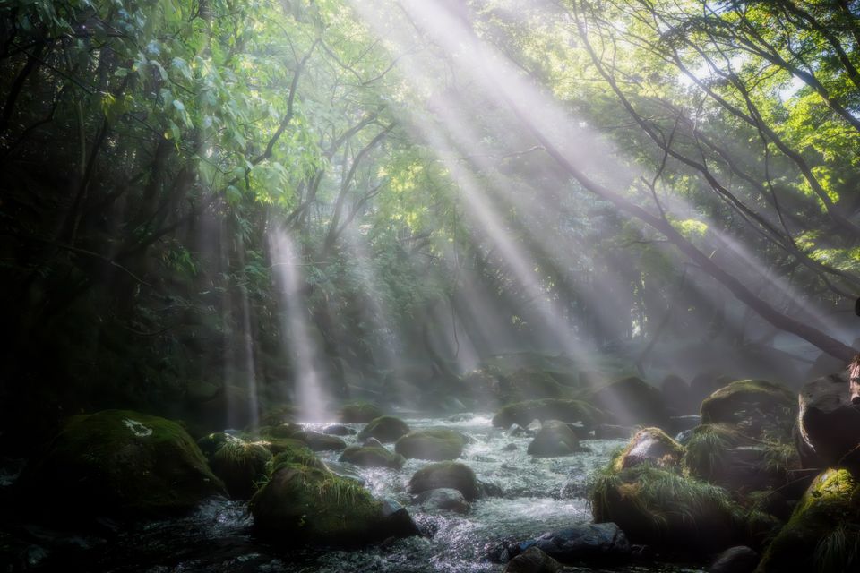 （C)ソニー写真部