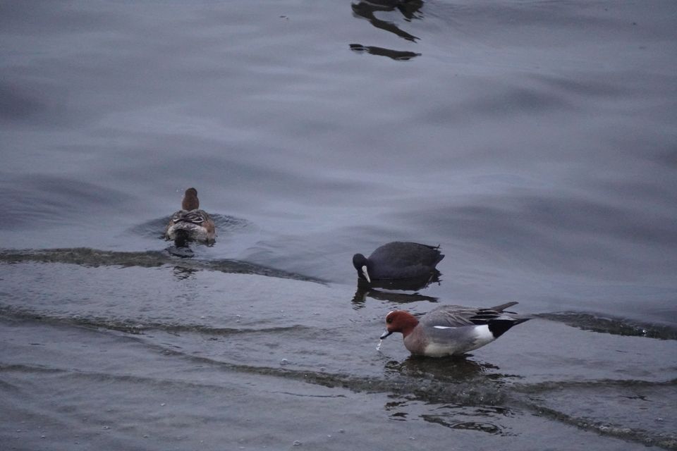 （C)ソニー写真部