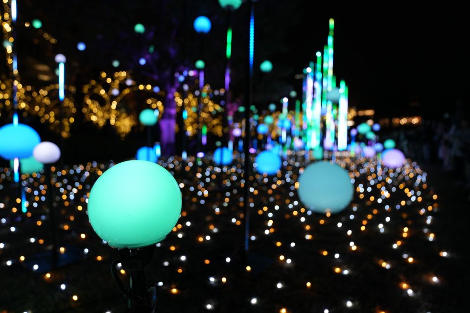 （C)ソニー写真部