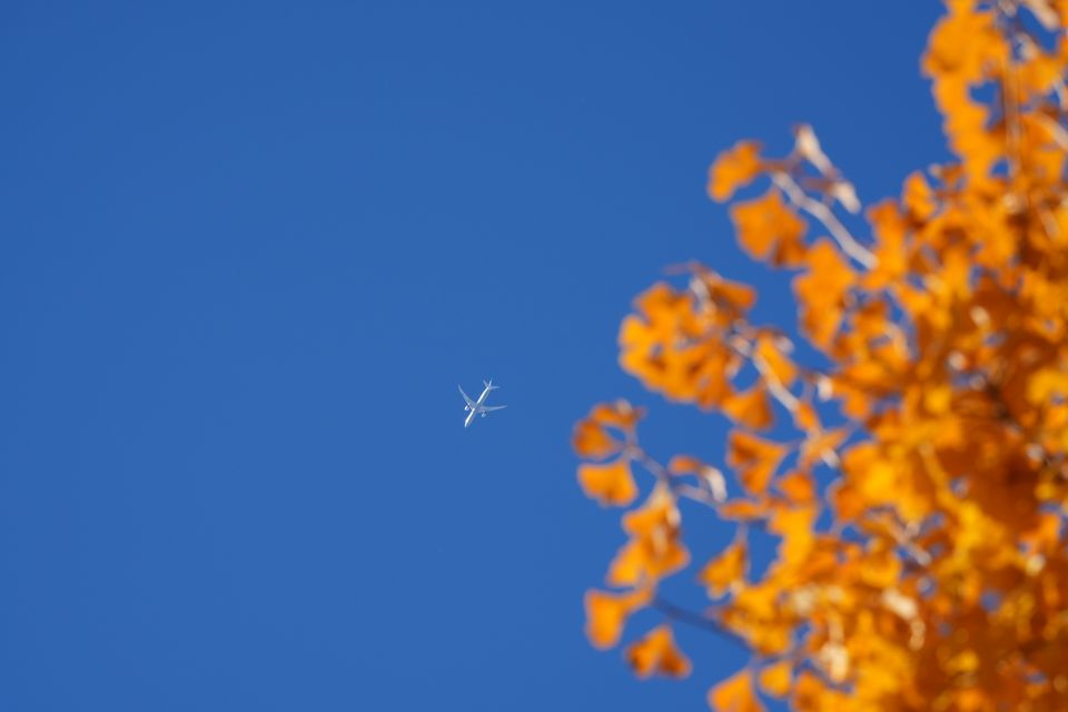 （C)ソニー写真部