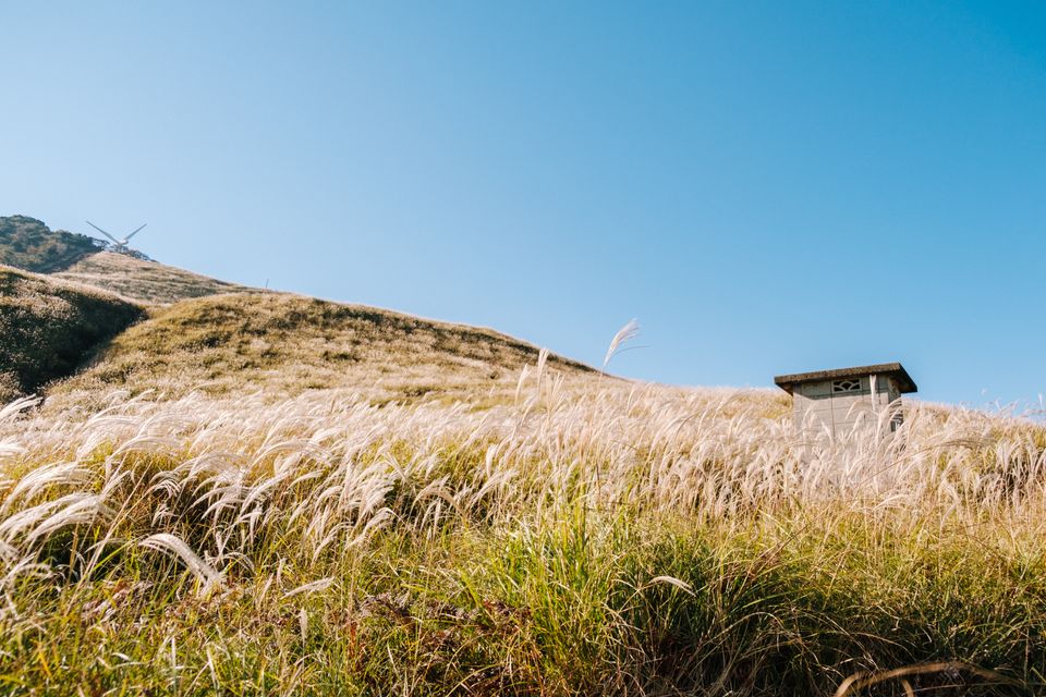 （C)ソニー写真部