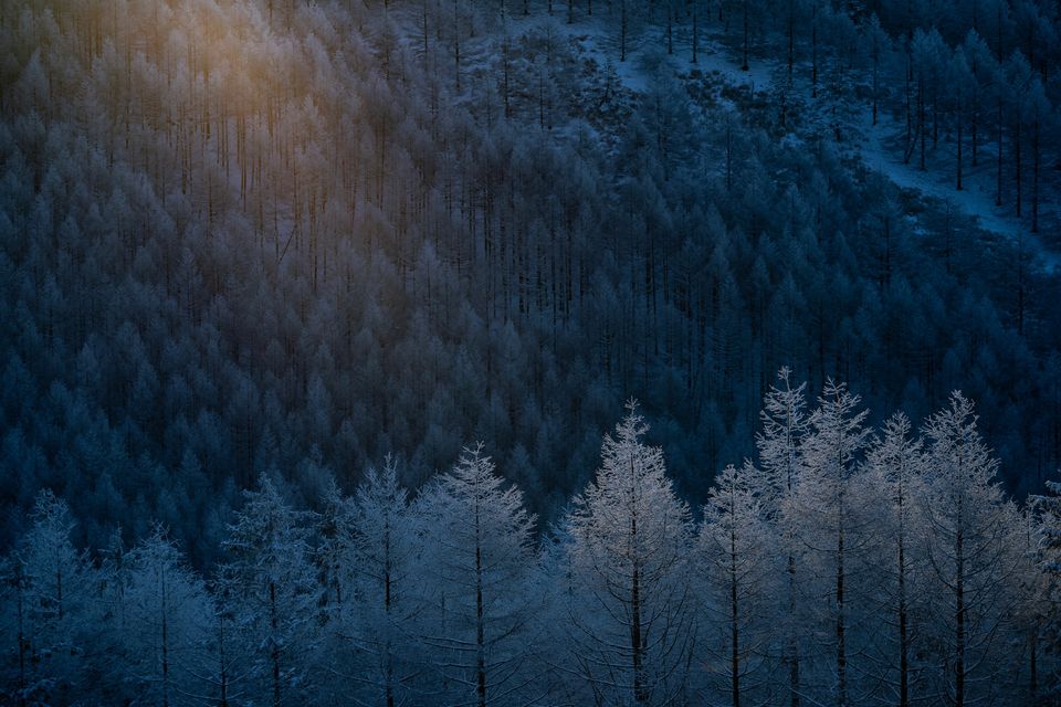 （C)ソニー写真部