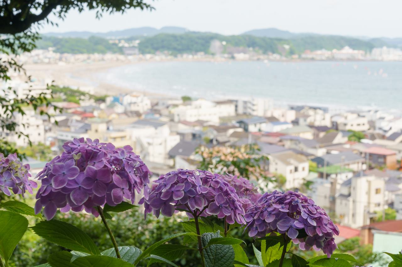 （C)ソニー写真部