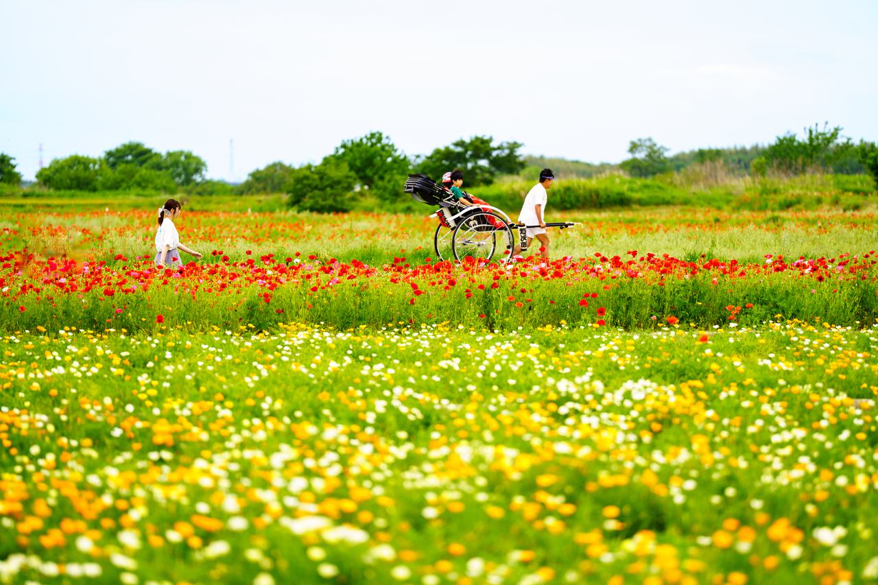 （C)ソニー写真部