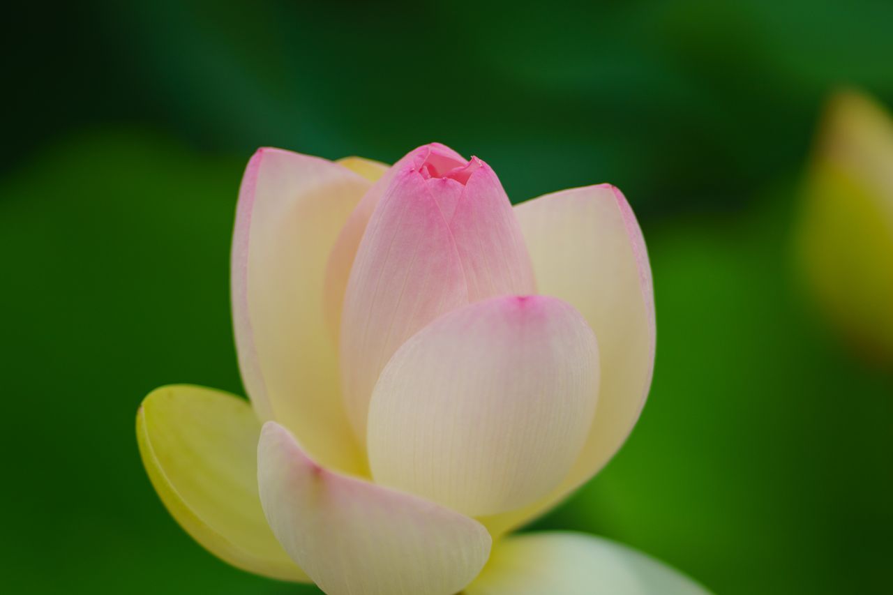 （C)ソニー写真部