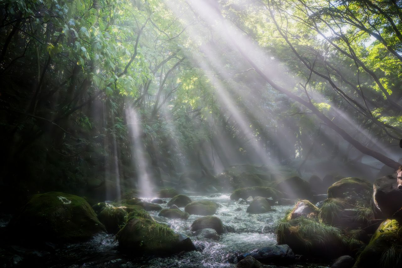 （C)ソニー写真部
