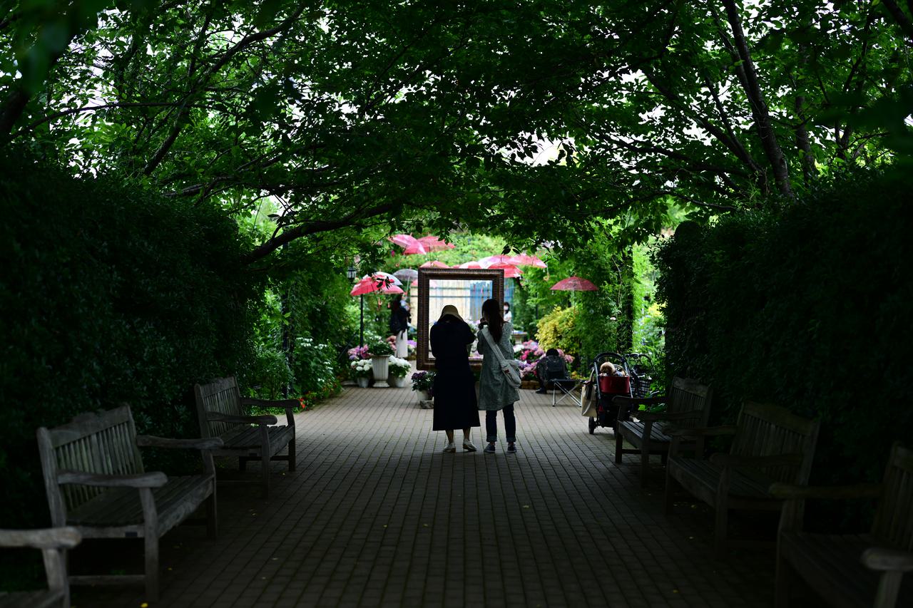 （C)ソニー写真部