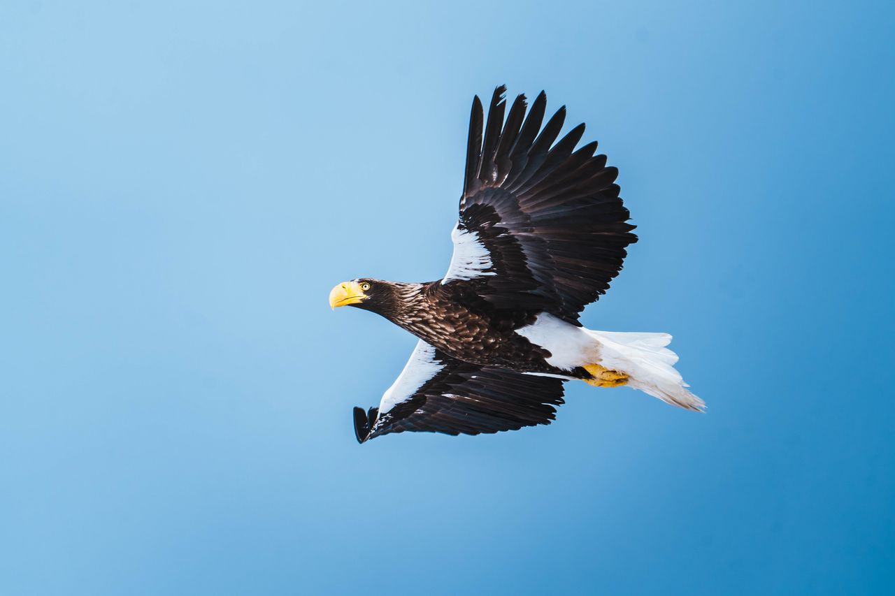 （C)ソニー写真部