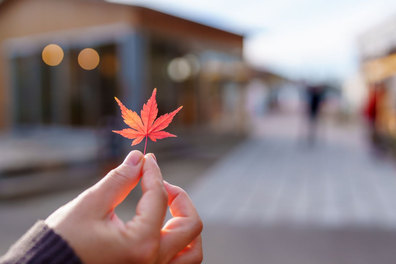 (C)ソニー写真部