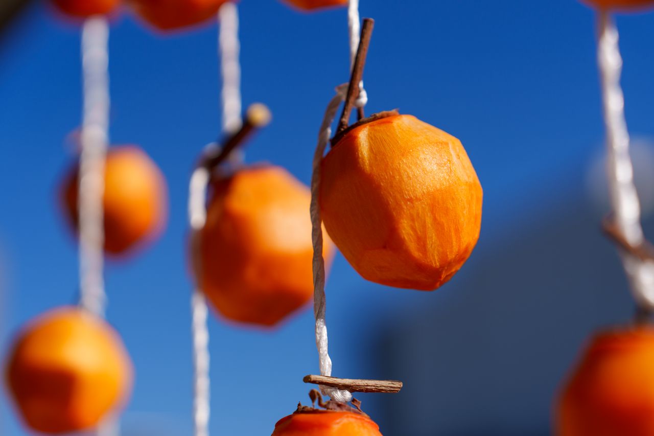 （C)ソニー写真部