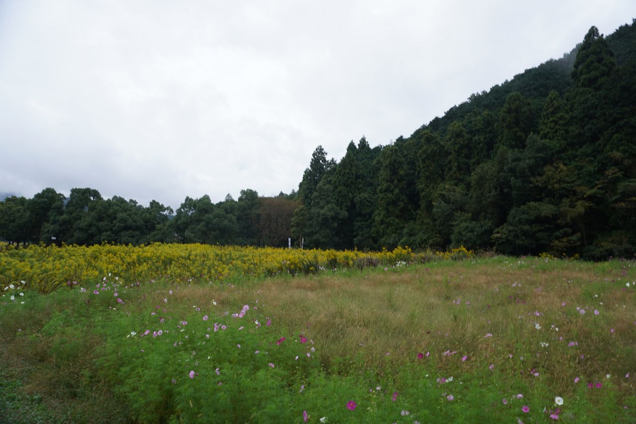 （C)ソニー写真部