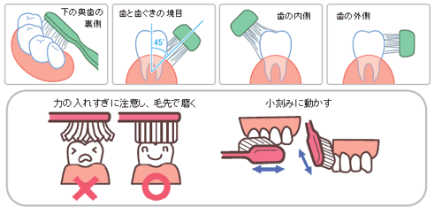 正しいブラシのあて方・動かし方