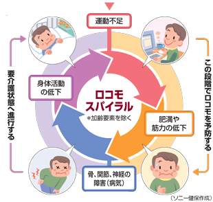 ロコモ・スパイラル図