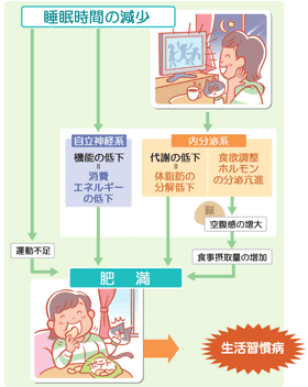 睡眠と肥満の関係